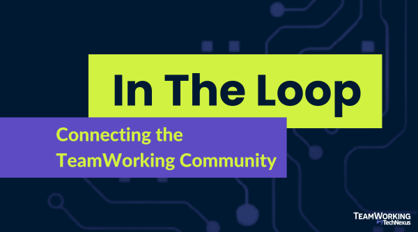 In The Loop Connecting the TeamWorking Community (1)